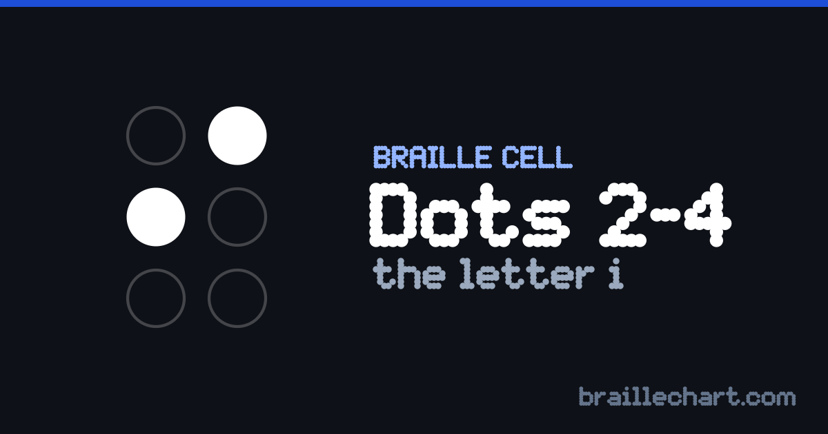 A braille cell with dots 2 and 4 raised, which in Unified English Braille is the letter i.